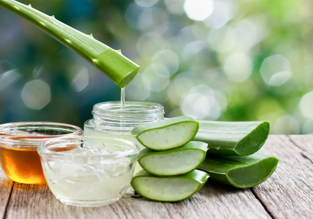 Hidratação com aloe vera (babosa)